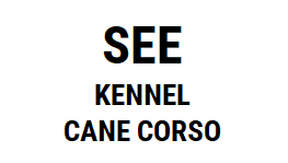 CANE CORSO KENNEL
