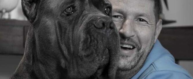 cane corso juanma morato2