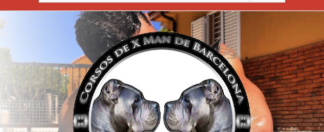 vender cahorros cane corso por internet juanma morato