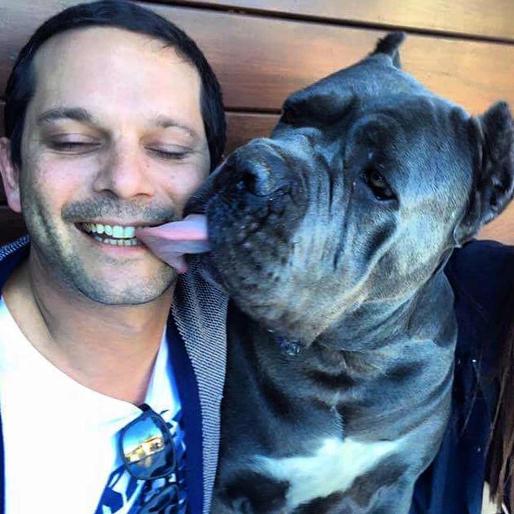 CANE CORSO RAZA PELIGROSA 1