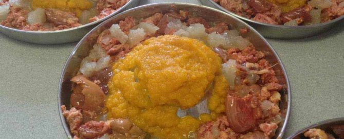 CANE CORSO Y LA ALIMETACION 1.