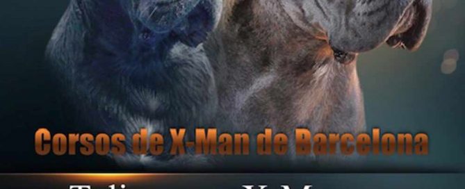 COMPRAR CAMADA CACHORROS CANE CORSO 4