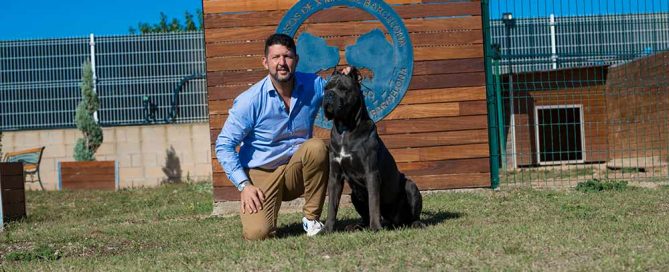 comprar perro cane corso en Guadalupe Mexico y venta de cachorros de cane corso en Guadalupe Mexico