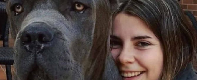 Acheter cane corso à nice et vente de chiots cane corso à Nice France5