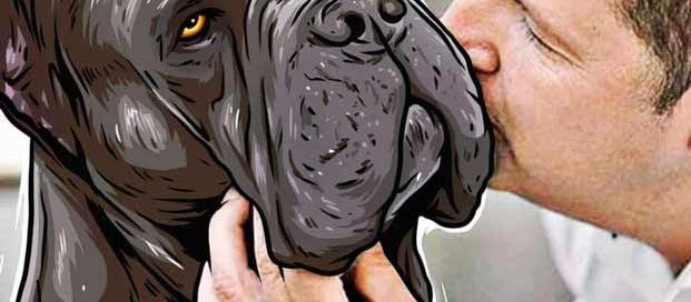 comprar cane corso en Monterrey Mexico y Venta de los mejores cachorros de cane corso en Monterrey