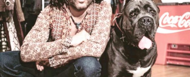 kaufen sie cane corso in hamburg und verkaufen sie cane corso welpen in hamburg4