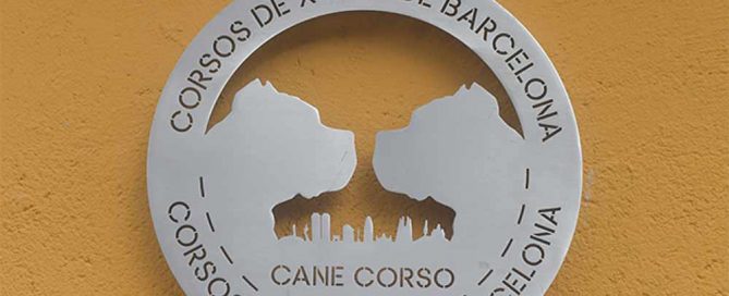 Criadores de perro cane corso en ciudad de mexico2