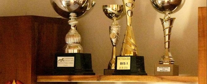 breeders of italian mastiff and cane corso puppies in oklahoma