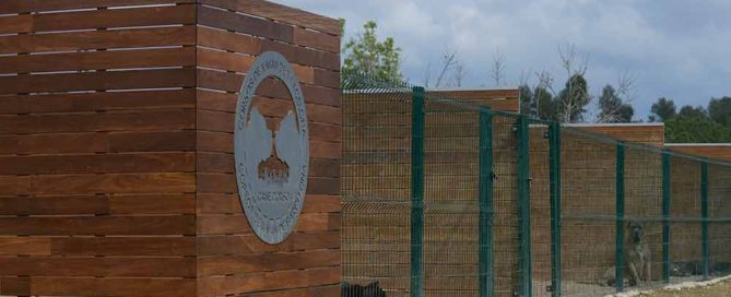 where buy cane corso in Omaha ne and Breders of cane corso in Nebraska2