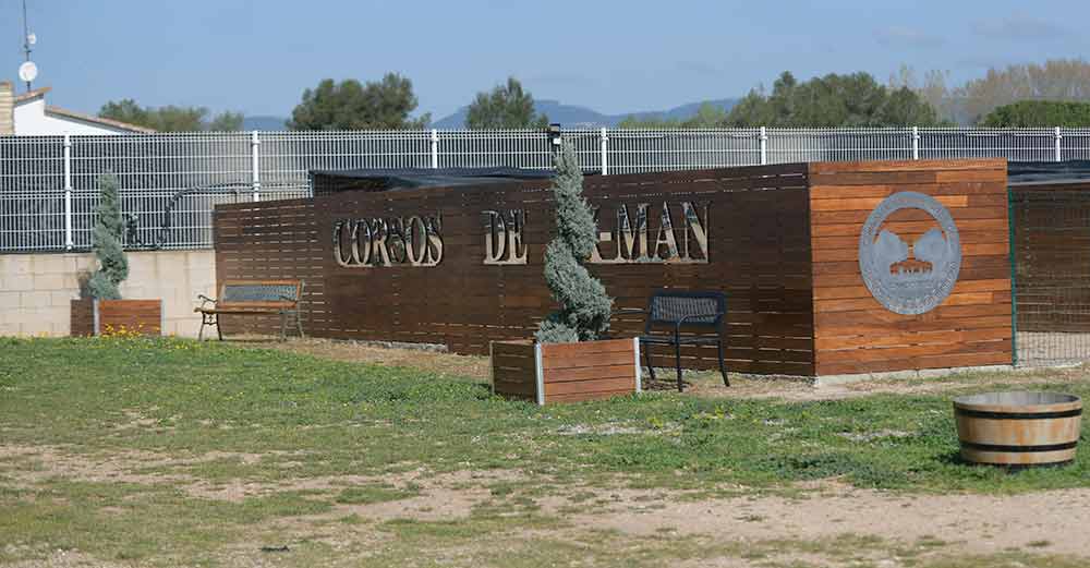 where buy cane corsos in lexington and breeders of cane corso in kentucky1