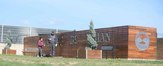 Buy cane corso puppies in Gilbert and for sale italian mastiff puppy in Arizona