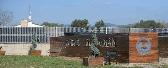 Donde comprar cachorros de cane corso italiano en madrid