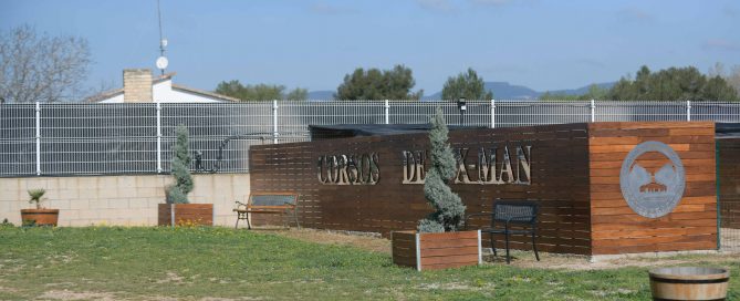 Donde comprar un cane corso en Granada Y criadores de cane corso italiano en Sierra Nevada