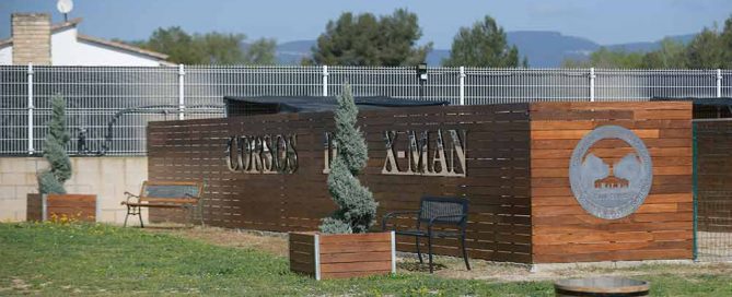 Where buy cane corso puppies and breeders of cane corso in Madison Wisconsin