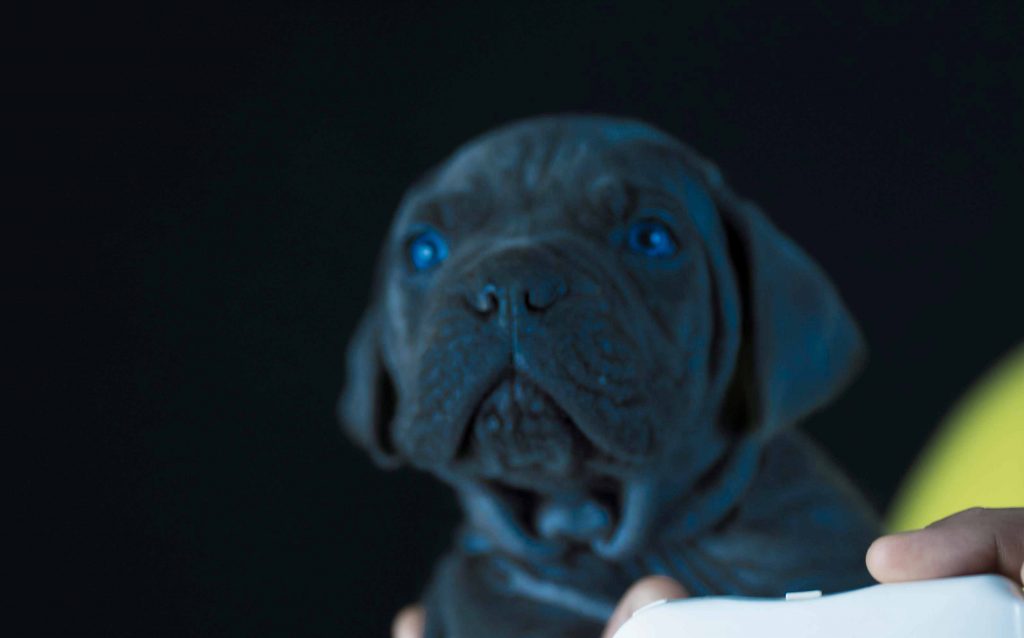 en Los Angeles, California,USA1