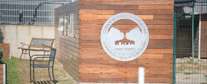 where buy cane corso puppies in Irvine and Breeders of cane corso in California