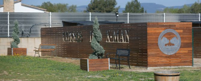 where buy dog italian cane corso in Baton rouge and breeders of Italian Mastiff in Louisiana