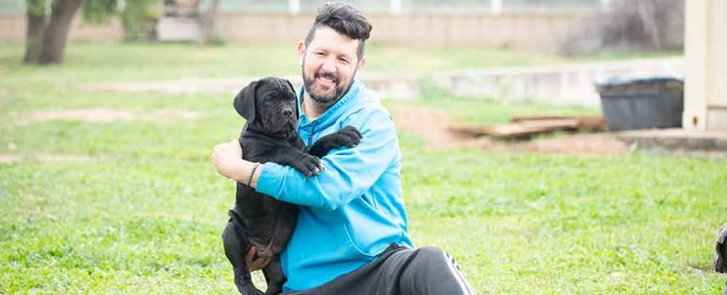 COMPRAR CACHORROS DE MASTIN ITALIANO-PERRO CANE CORSO
