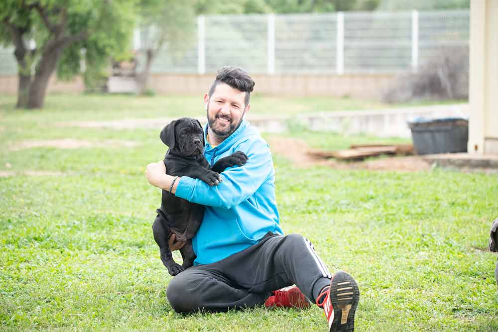 COMPRAR CACHORROS DE MASTIN ITALIANO-PERRO CANE CORSO