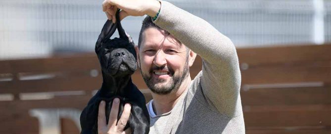 Cane Corso puppy for sale in United Kingdom and puppies for sale in Oxford