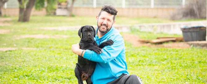 Cane Corso puppy for sale in Edinburgh and buy Cane Corso puppies in UK