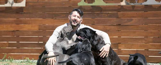 EL CANE CORSO-LA RAZA MAS EXCLUSIVA DEL MUNDO