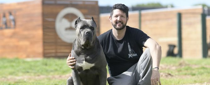 BUY-CANE-CORSO-IN-SLOUGH