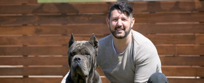COMPRAR-CANE-CORSO-EN-ECATEPEC