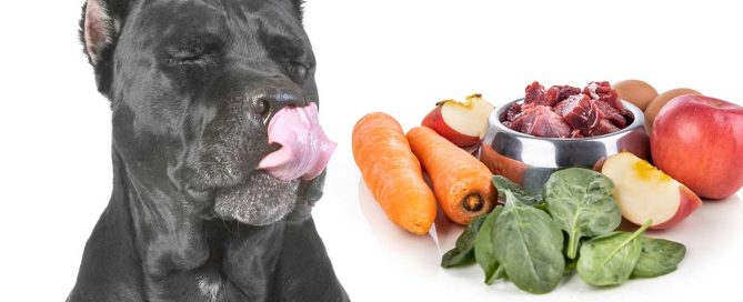 alimentos saludables cane corso
