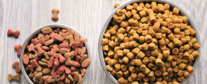 es malo el pienso para perros