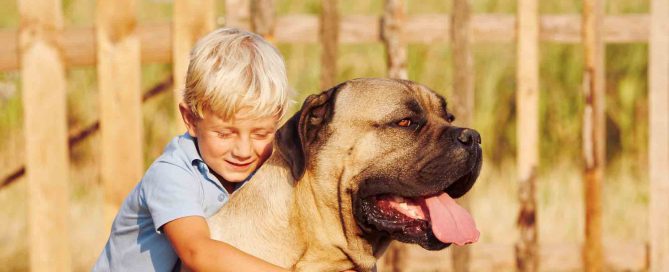 beneficios para los niños de tener un perro en casa