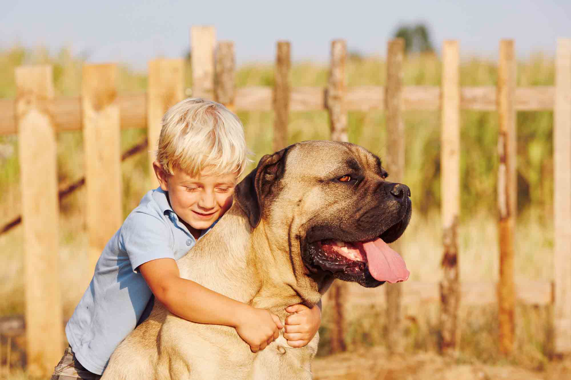 beneficios para los niños de tener un perro en casa