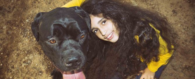 socializacion-perros-raza-grande-gigante