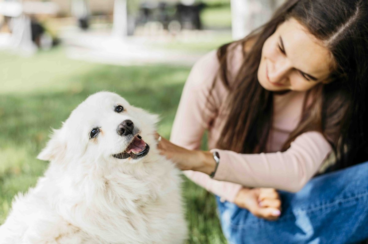 Como elegir al mejor cuidador para tu perro