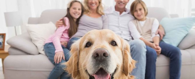 beneficios de tener un perro en la familia