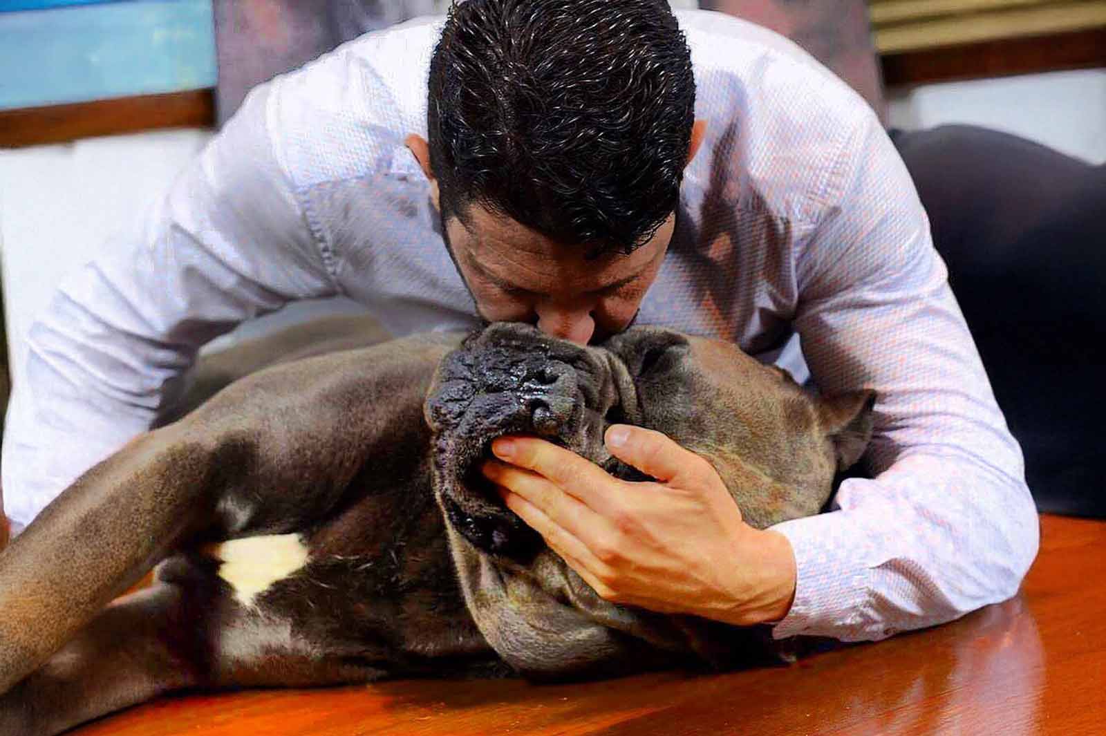Juan Manuel Morato de cane corso x-man Barcelona