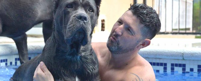 Juan Manuel Morato de cane corso x-man Barcelona