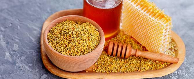 polen de abeja para perros