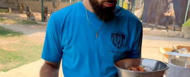 alimentación de los cane corsos