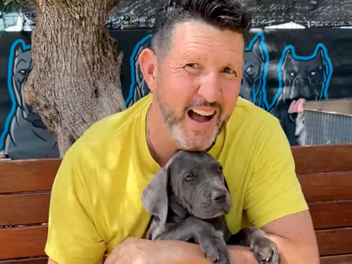 Diarrea en perros Cane Corsos