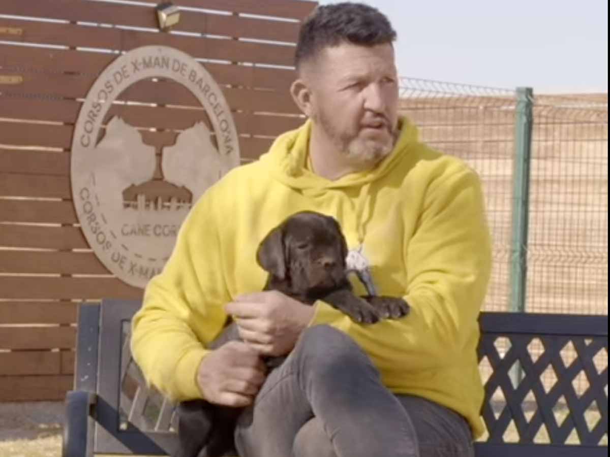 razas de perros