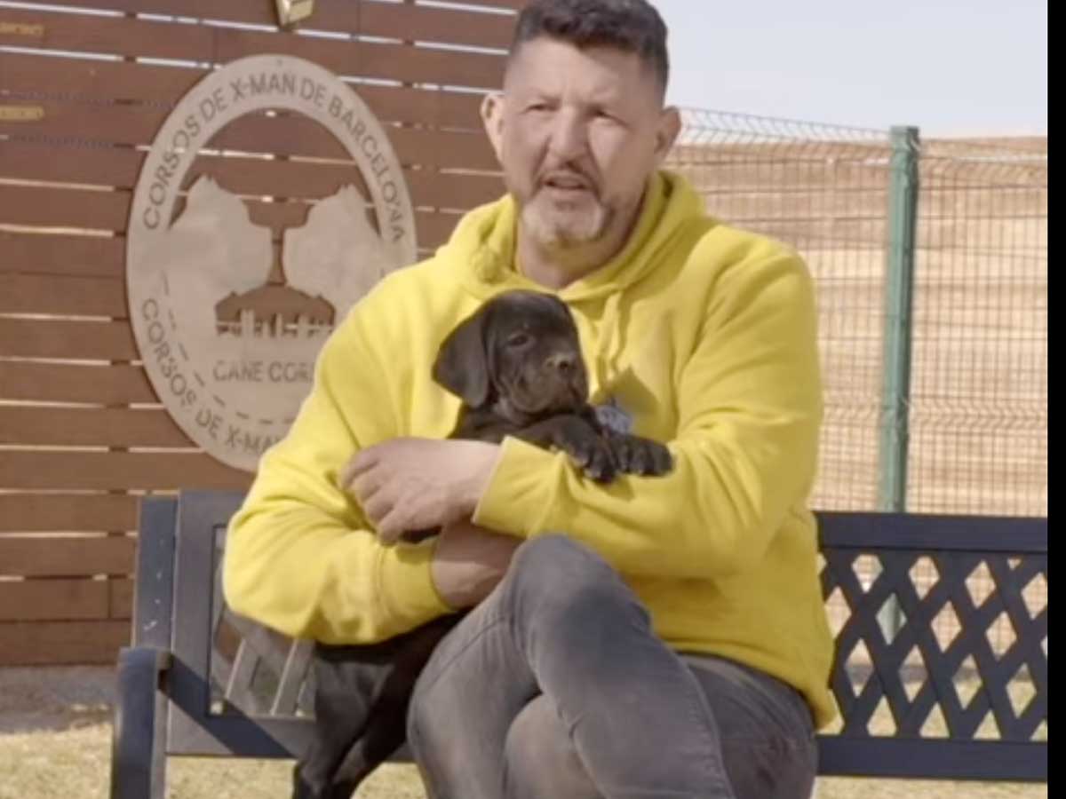 razas de perros