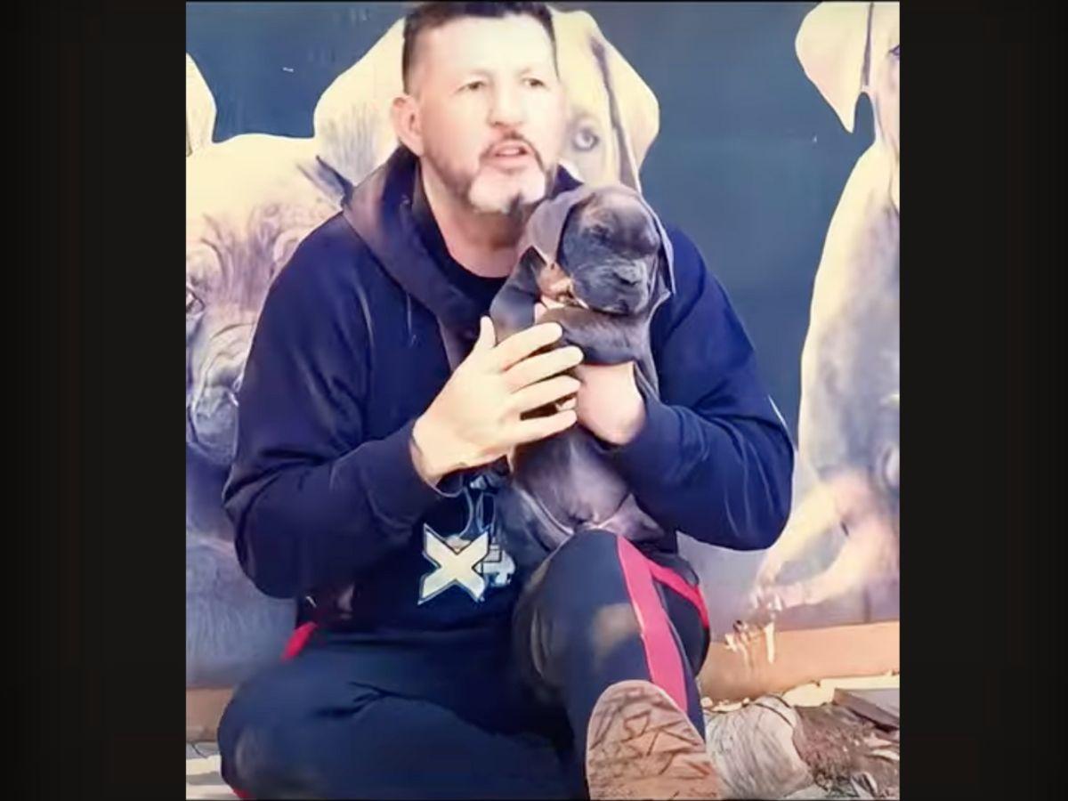cómo elegir el mejor perro de la camada