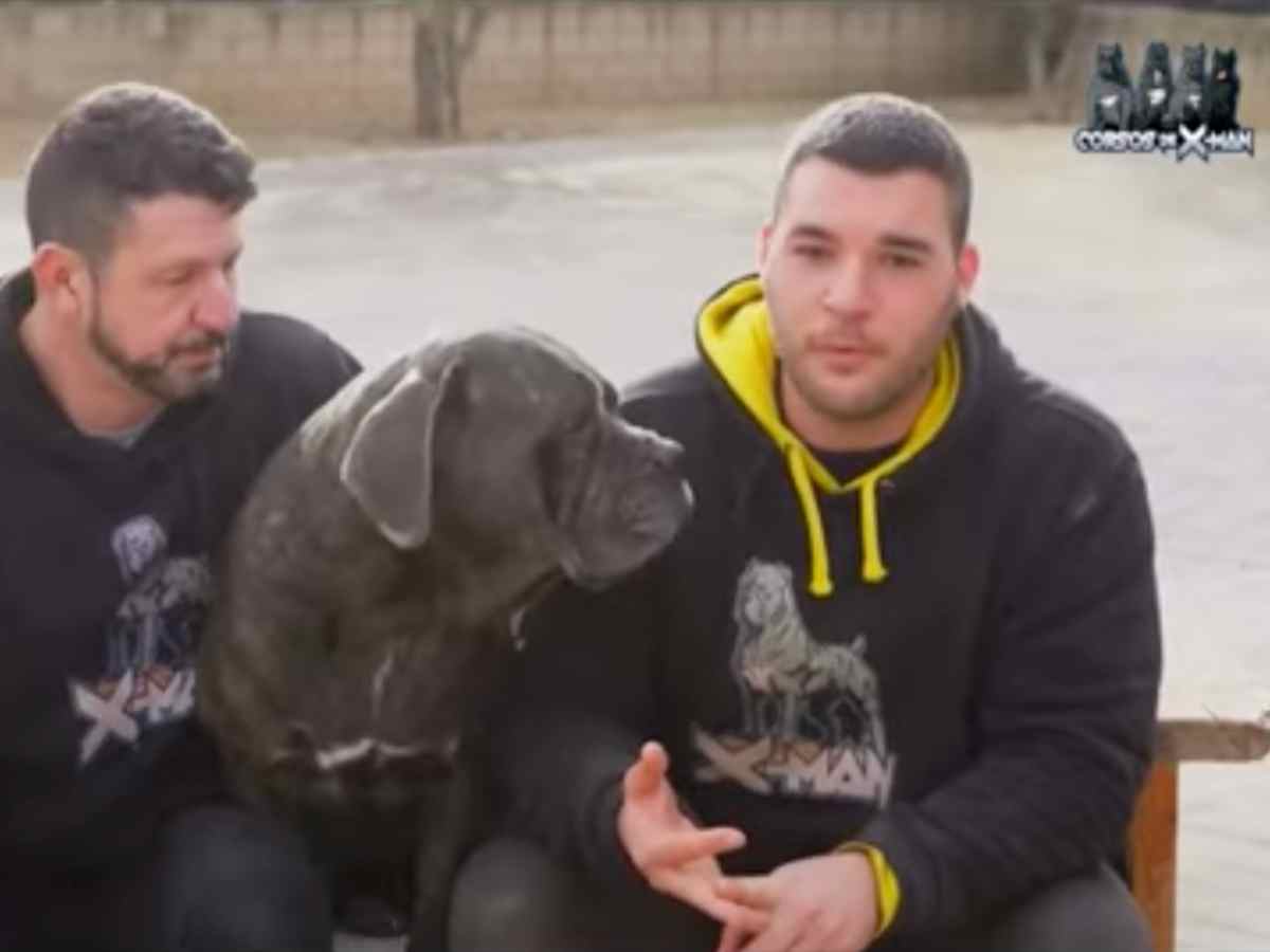 cría ilegal de perros