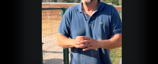 eliminar garrapatas de los perros