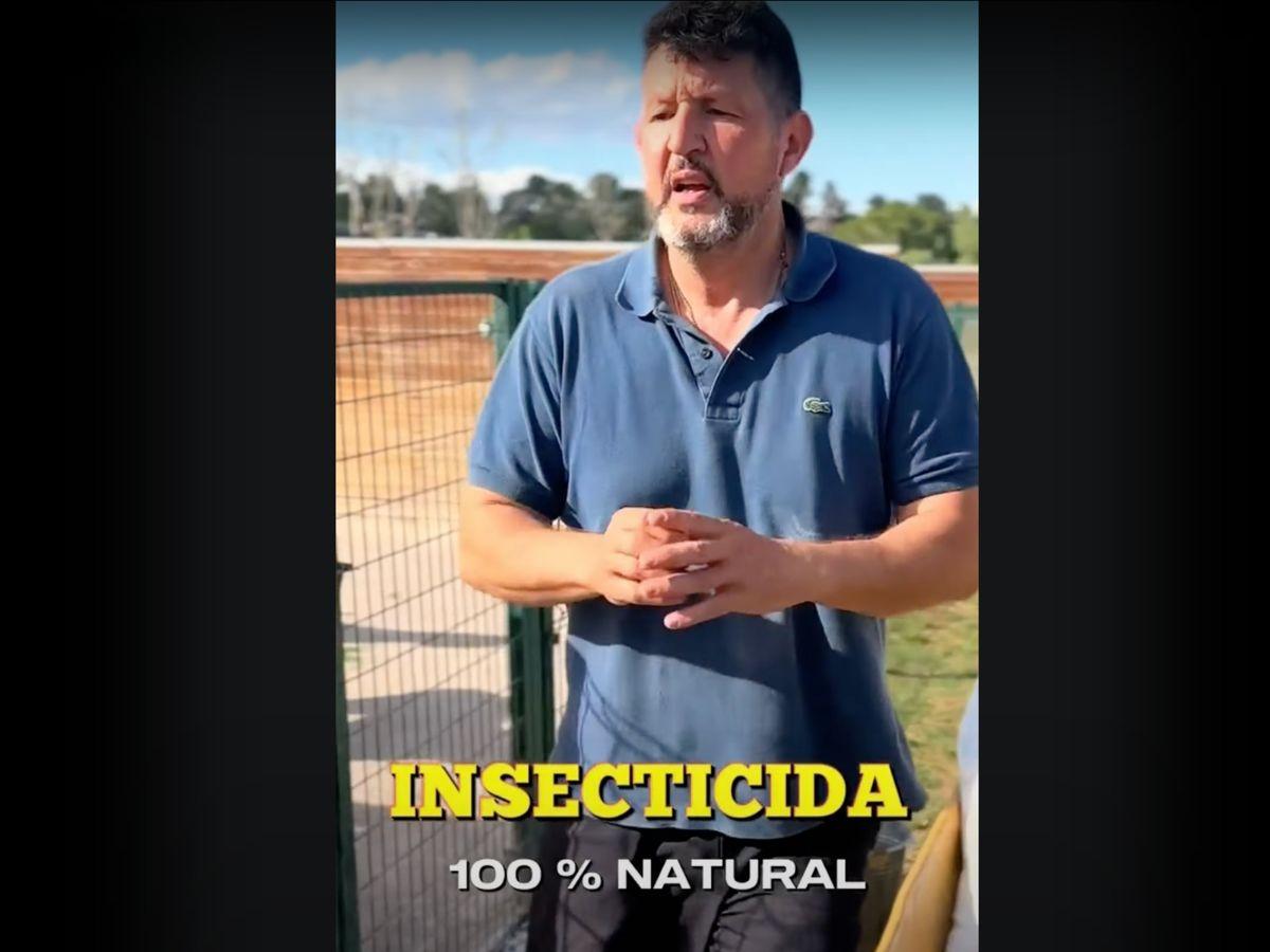 eliminar garrapatas de los perros
