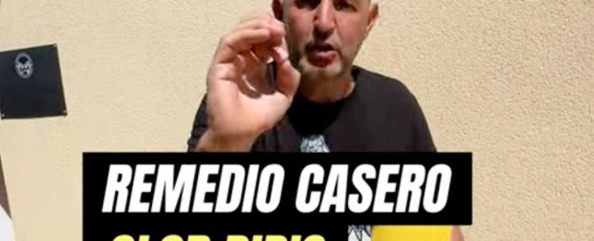 eliminar el olor de pipi de perro
