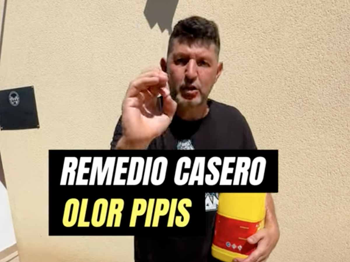 eliminar el olor de pipi de perro