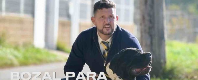 perro grande sin bozal