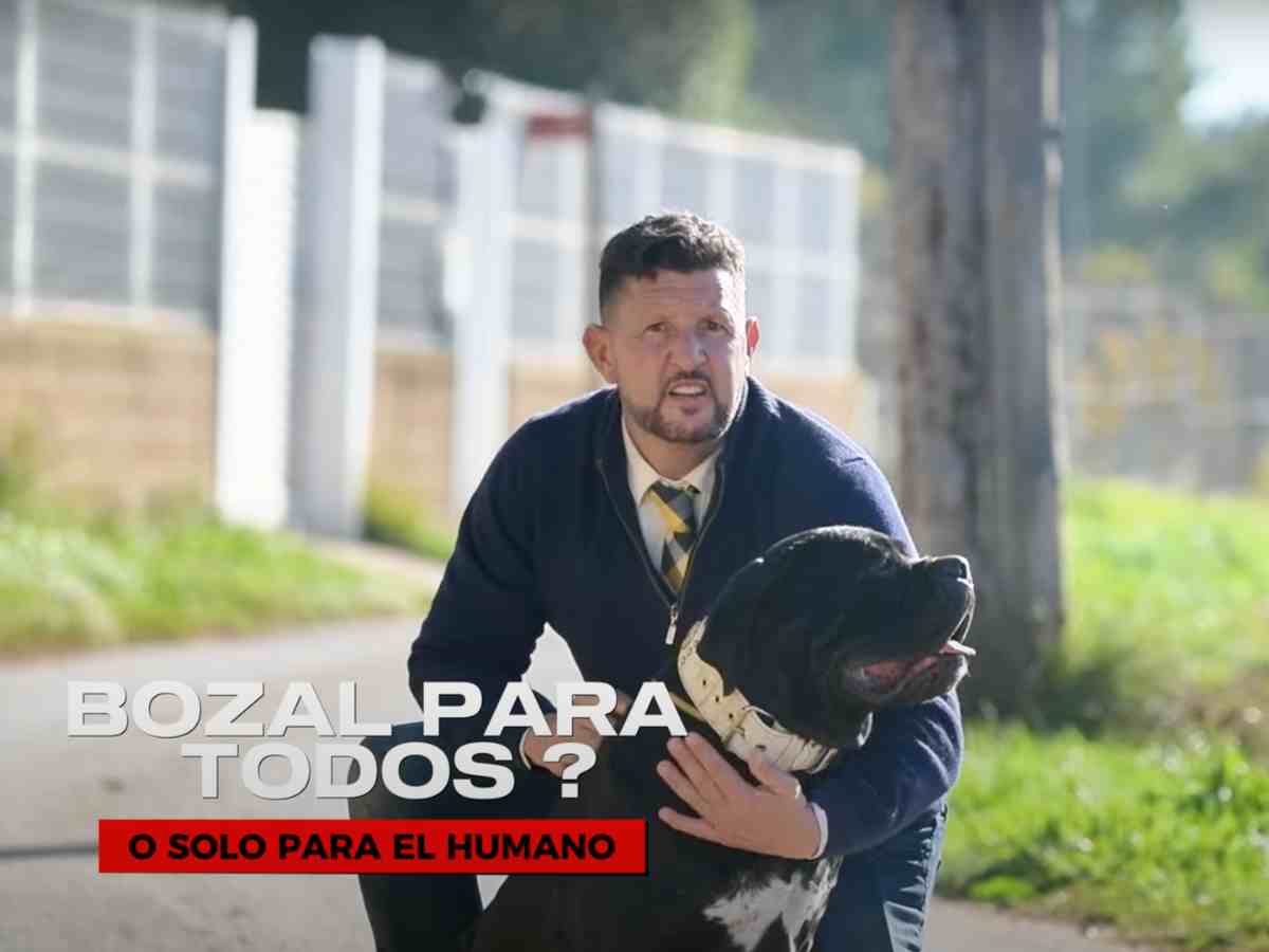 perro grande sin bozal